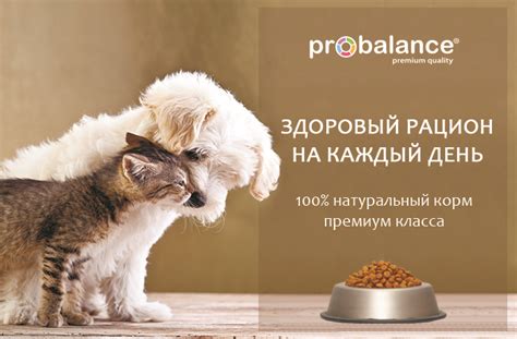 Корм ПроБаланс для собак и кошек. Купить корм ProBalance и ПроХвост