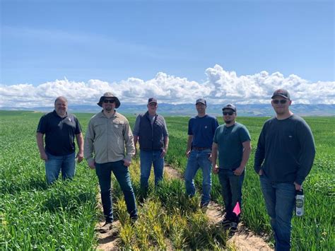Albaugh Llc On Linkedin Coaxium Wheat Production System For