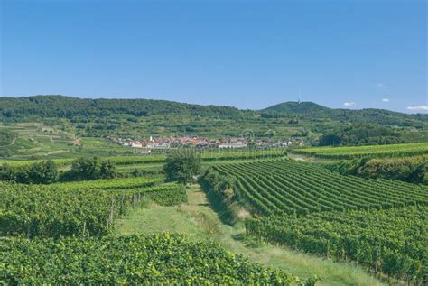 Kaiserstuhl Wine Regionblack Forestgermany Stock Image Image Of