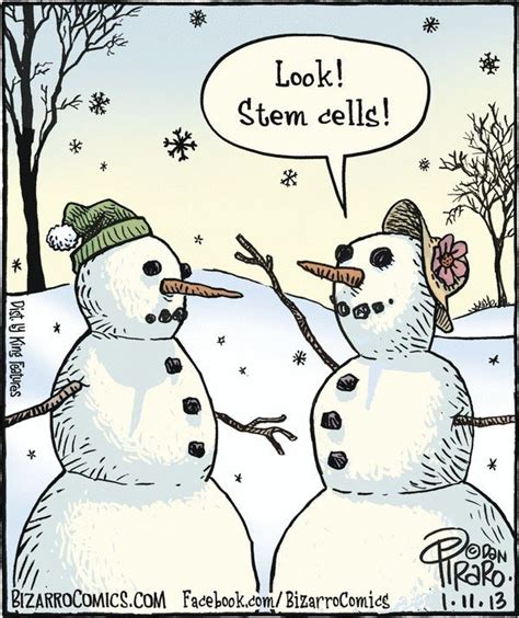 Pic Of The Day Snowmen And Stem Cells Nerd Humor Science Humor