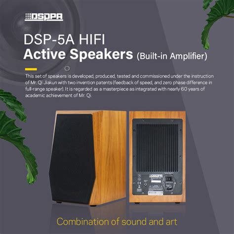 Promotion | DSPPA HIFI Speakers at a Customer-Friendly Price ...