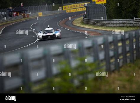 Duval Loic Fra Menezes Gustavo Usa Muller Nico Xiii Peugeot