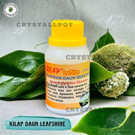 Jual KILAP LEAFSHINE SPRAY 100 ML SEMIR PENGKILAP TANAMAN DAUN Shopee