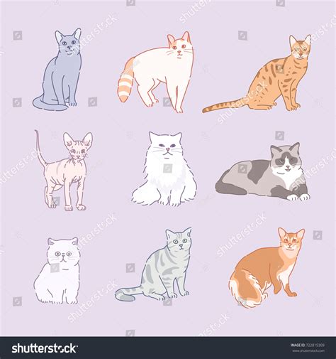 Various Cat Breeds Line Drawing Vector Stock Vector (Royalty Free) 722815309 | Shutterstock