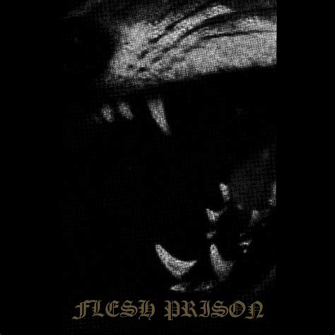 Discover CVLT Nation S Top Hardcore Bands Killing It RIGHT NOW CVLT Nation