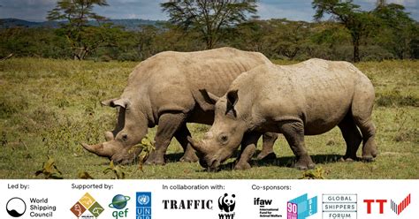 Organisations Unite To Combat Wildlife Trafficking