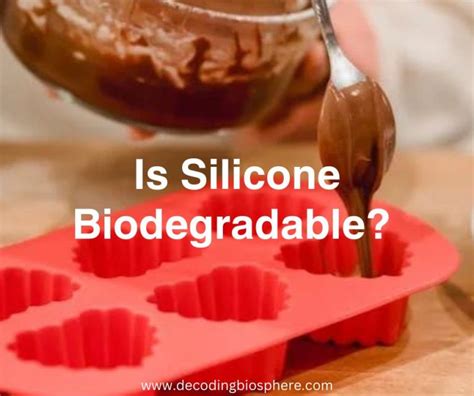 Is Silicone Biodegradable Environmental Impact And Alternatives Decoding Biosphere