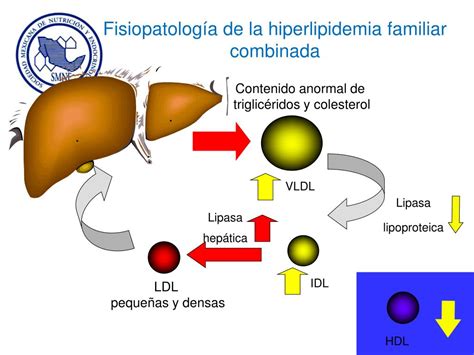 PPT Abordaje diagnóstico de las dislipidemias PowerPoint Presentation