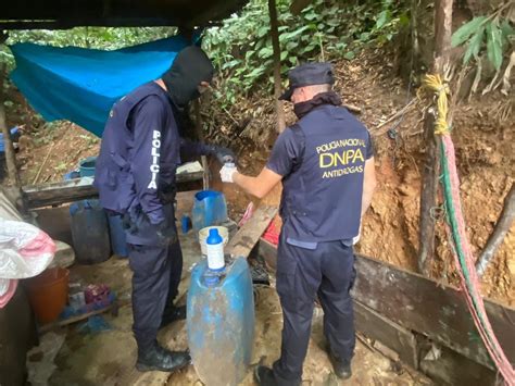 Equipos Antidrogas Incineran Plantaciones De Hoja De Coca Y Destruyen