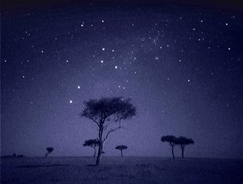 TISOTIT: Africa at Night