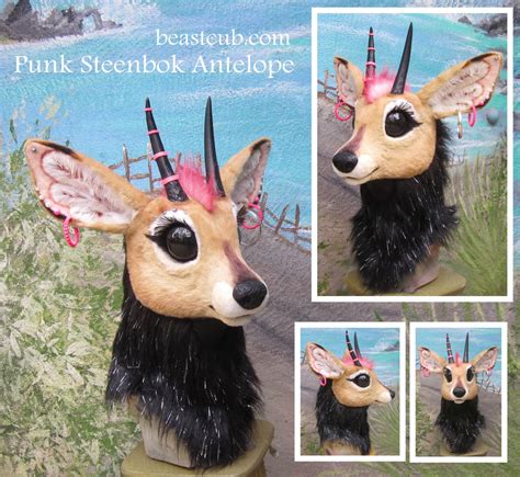 Steenbok Antelope head by LilleahWest on DeviantArt