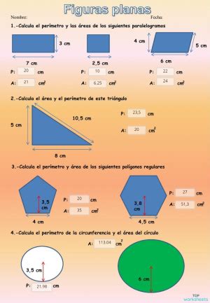 Ejercicios De Figuras Planas Ficha Interactiva TopWorksheets