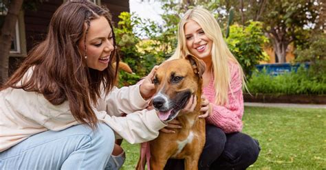 Find that Perfect Pet: Escambia County Animal Shelter Now Open On ...