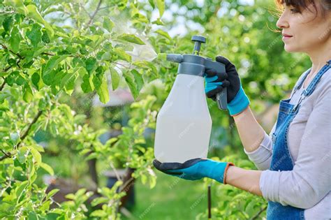 Premium Photo | Woman sprays fungicides on fruit trees from plant ...