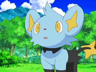 Shinx - Pokedex Guide - IGN