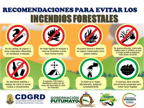 Recomendaciones Para Evitar Incendios Forestales Miputumayo Noticias