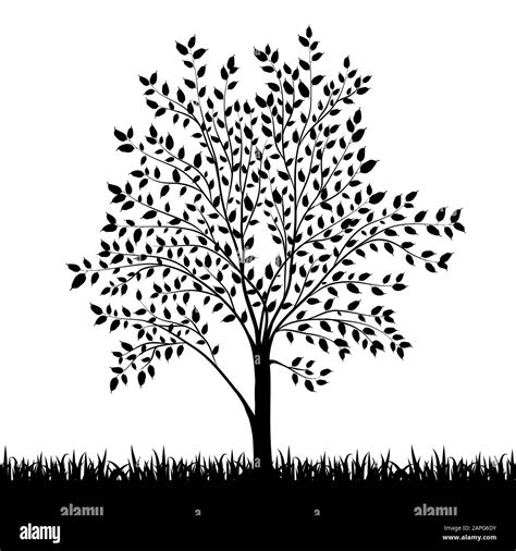 Silhouette of tree and grass background vector Stock Vector Image & Art ...