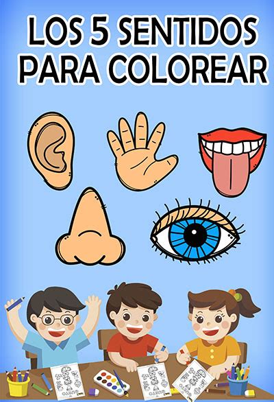 Los 5 Sentidos Para Colorear Portal De Educación