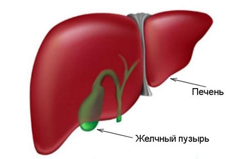 Как понять, что с желчным проблемы?
