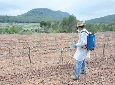 Nou Producte Provat A L Alt Camp Per Prevenir Els Danys De Cabirol A