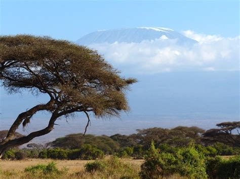 Kilimandžaro raj za safari turiste zanimljiva geografija