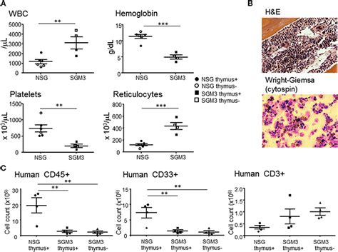 Frontiers Posttransplant Hemophagocytic Lymphohistiocytosis Driven By