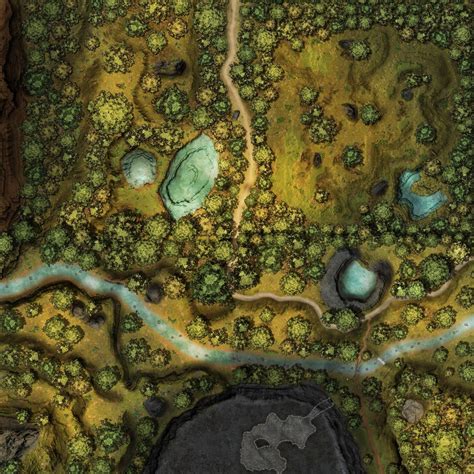 Huge 120x120 Wilderness Map - CZRPG | Battlemaps | DriveThruRPG.com