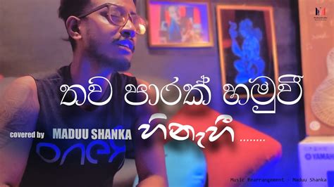 තව පාරක් හමුවී හිනැහී Thawa Parak Hamuwee Slowed Piano Cover Maduushanka New Sinhala