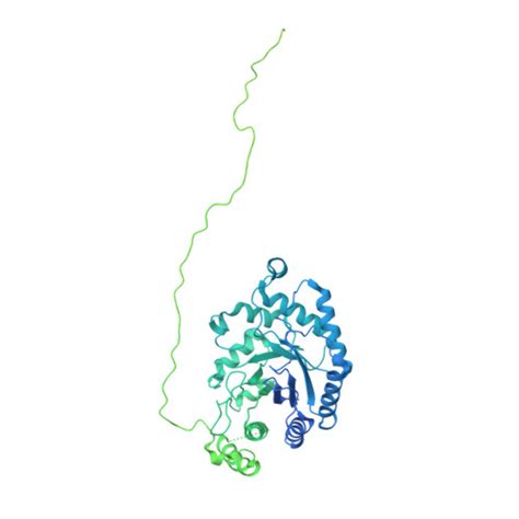 Rcsb Pdb Yeh Cryo Em Structure Of Human Ogt Oga Complex