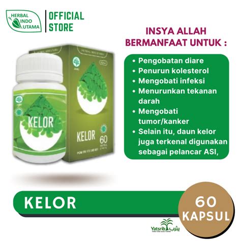 Kapsul Daun Kelor Lazada Indonesia