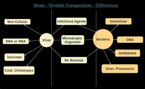 Differentiating Viruses and Bacteria: A Visual Comparison