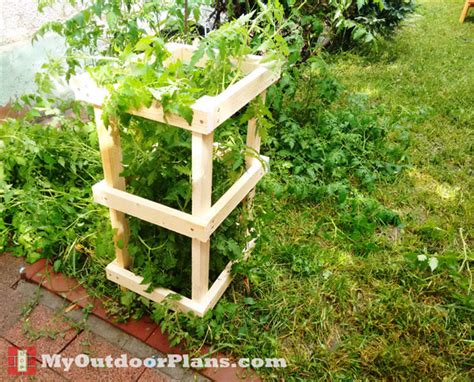 Diy Tomato Cage Myoutdoorplans