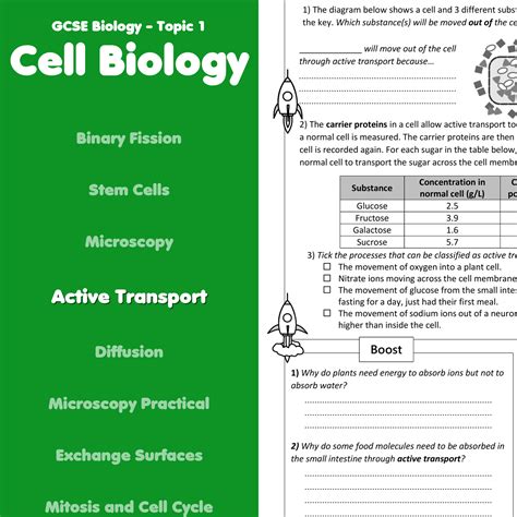 Active Transport Home Learning Worksheet Gcse Teaching Resources