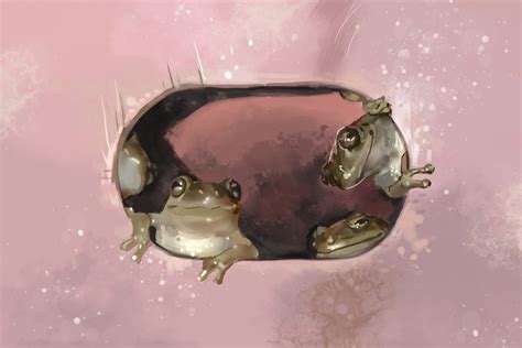 Иллюстрация четыре веселых лягушки в стиле 2d, детский, книжная