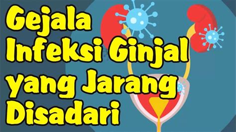 Gejala Infeksi Ginjal Yang Jarang Disadari Youtube