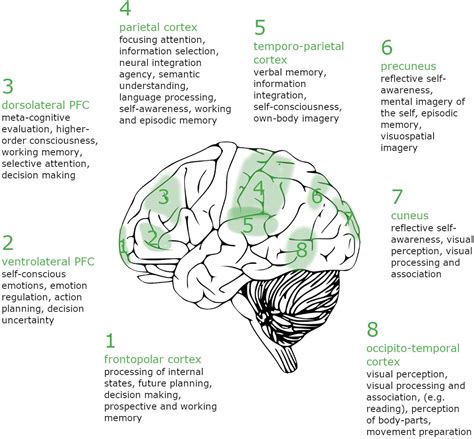 The Science Of Lucid Dreaming What Happens In Your Brain When You