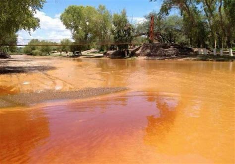 La alta contaminación con metales pesados del río Sonora una