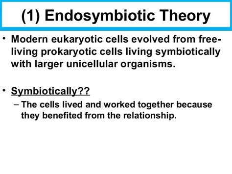 Biology Unit 2 Notes The Endosymbiotic Theory