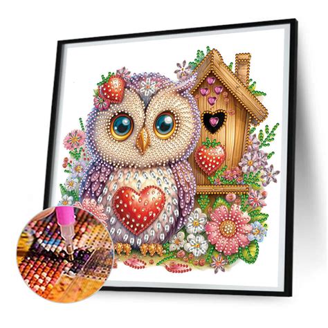 5D DIY Partial Special Shaped Drill Diamond Painting Kit Rose Owl House