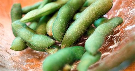 Edamame Fagioli Di Soia Propriet E Calorie Greenstyle