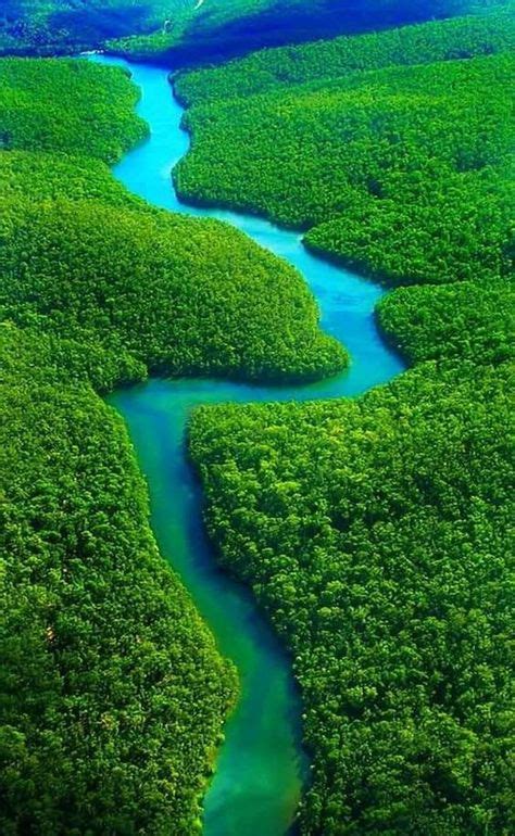 63 Amazon Rainforest - Brazil, Peru, Colombia, Venezuela, Guyana, Suriname, French Guiana. ideas ...