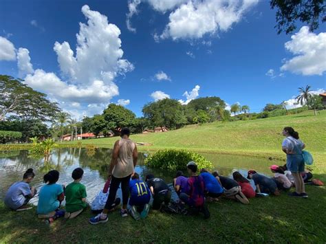 Curso Minhas Férias no Jardim Botânico acontece nesta semana