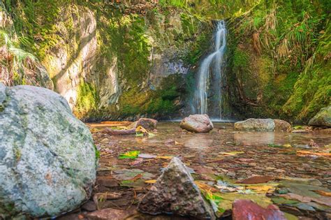 Waterfall Black Forest River Free Photo On Pixabay