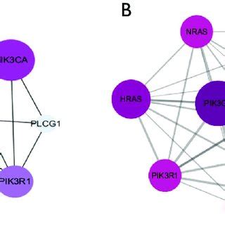 Protein-protein interaction analysis. (A) Protein-protein interaction ... 