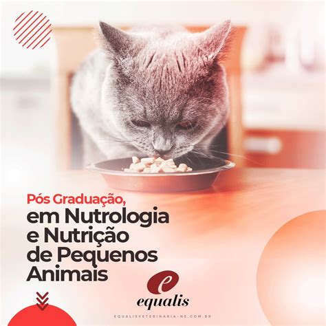 Pós graduação Veterinária em Nutrologia e Nutrição de Pequenos Animais