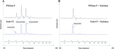 Figure 1 From A New Enzymatic Approach To Distinguish Fucosylation