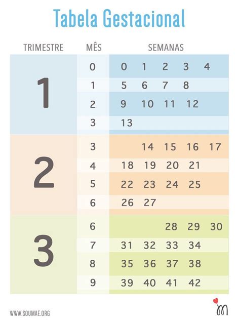 Tudo Que Você Precisa Para Organizar Sua Gravidez Semana A Semana