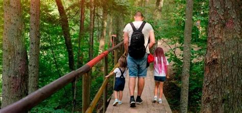 6 Tips Para Viajar En Familia A La Selva Peruana Sotupa