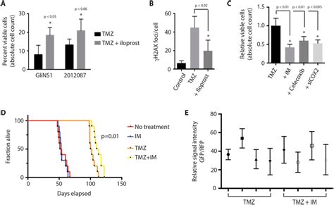 Cox 2 Inhibition Enhances The Cytotoxic Effect Of Temozolomide In