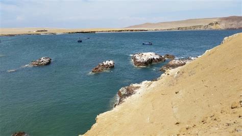 Paracas National Reserve (Pisco) - All You Need to Know BEFORE You Go ...